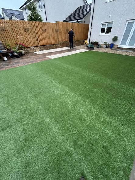 New lawn and turf